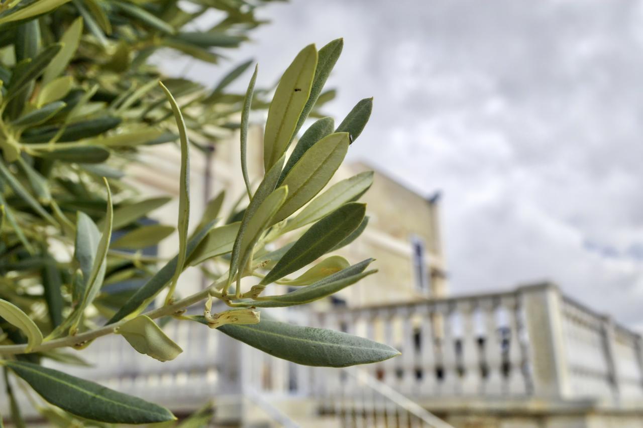 Tenuta Lama Gorga Trani Exteriör bild