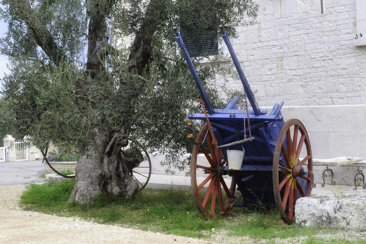 Tenuta Lama Gorga Trani Exteriör bild